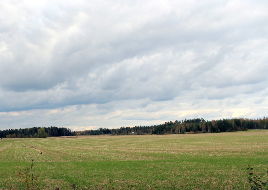 Avointa peltomaisemaa. Kaukana pellon takana näkyy metsää.