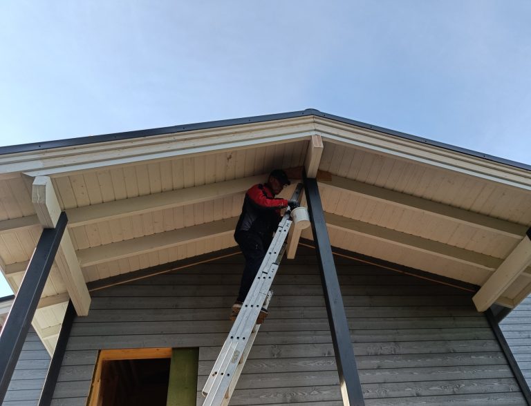 Loppuvuoden 2025 kuulumiset